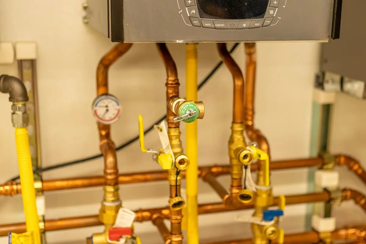 Licensed technician providing Sump Pump Repair for a homeowner in Eastover